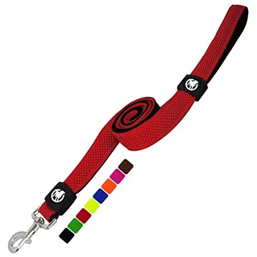 Airmesh Dog Leash - 4 Ft, Training Leash With Padded Hand Loop Dogs - Xs