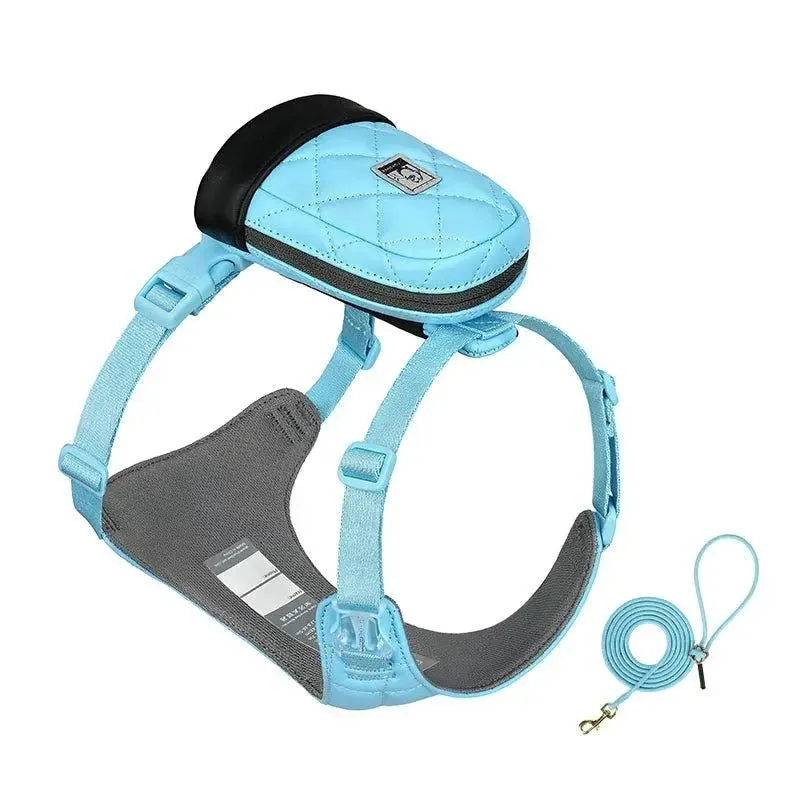 Bio-Based Dog Harness And Leash Set