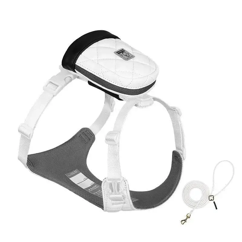 Bio-Based Dog Harness And Leash Set
