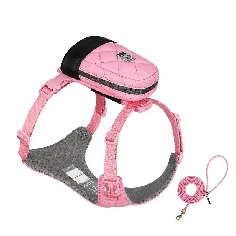 Bio-Based Dog Harness And Leash Set