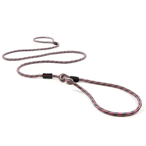 EzyDog Luca Dog Lead Red 6mm^^^